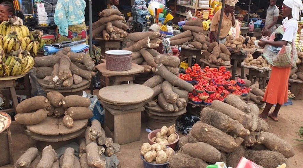 Food Prices Drop North East As Farmers Flood Markets With Grains