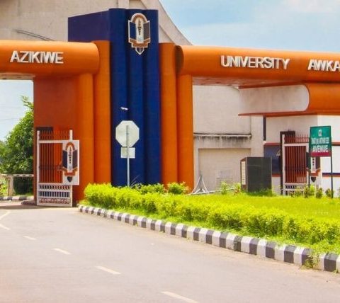 Nnamdi Azikiwe University VC Appointment