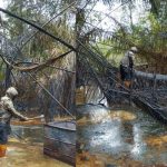 Illegal Refineries: Nigerian Navy Destroys 23 Sites, Recovers Stolen Crude