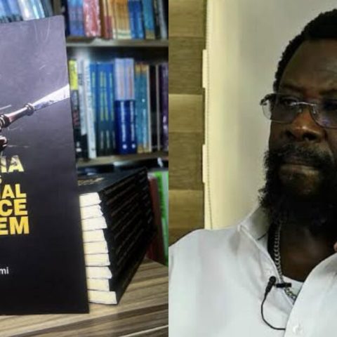 Dele Farotimi and his book