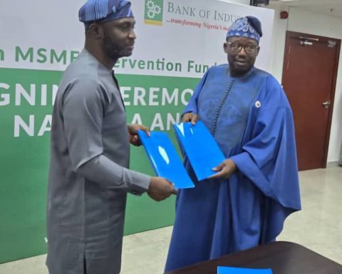 N75bn MSMEs Intervention Fund: Nigeria Govt Targets Agro-processing, Creative Industries, Healthcare, Renewable Energy 