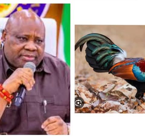 Death For Stealing Fowl: Osun Gov Pardons Victim, 51 Others