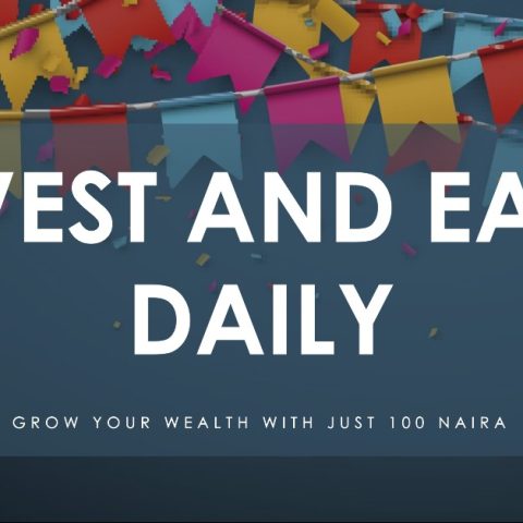 How to Invest Naira and Earn Daily in Nigeria