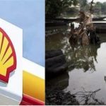 Niger Delta's Toxic Legacy: Can Shell Be Held Accountable for Human Rights Abuses?