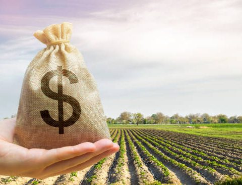 land banking