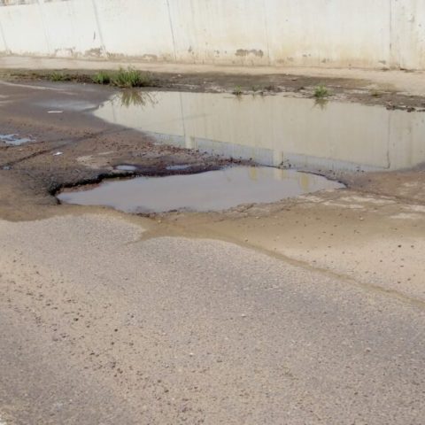 World Bank Promotes Inclusive Connectivity in Lake Chad Region