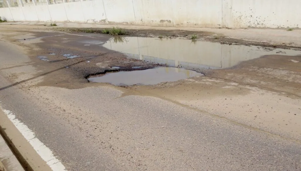 World Bank Promotes Inclusive Connectivity in Lake Chad Region