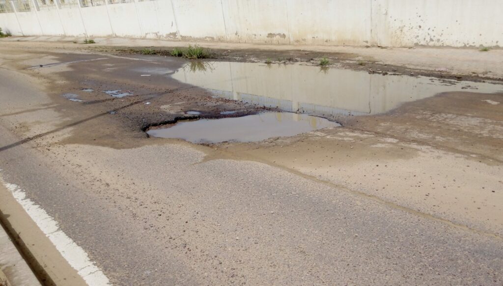 World Bank Promotes Inclusive Connectivity in Lake Chad Region