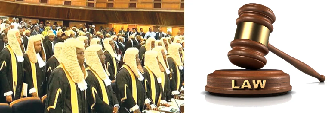 Judiciary: Enforcing Ethics To Curb Corruption