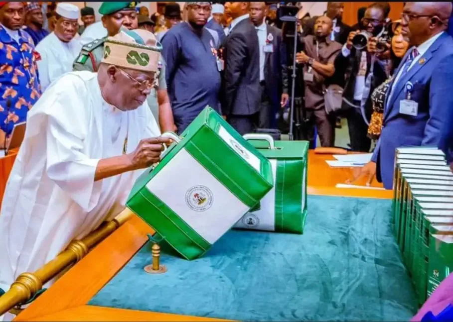 2025 Budget: Can Nigeria Achieve N40trn Revenue Target?