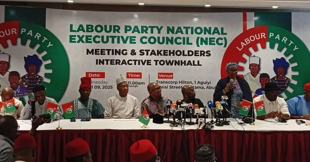 Labour Party Appoints Usman Acting National Chairperson