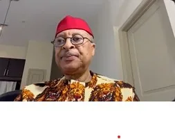 ‘Freedom Converge’: Why We’re Mobilising 7.2 Million People To Abuja - Utomi