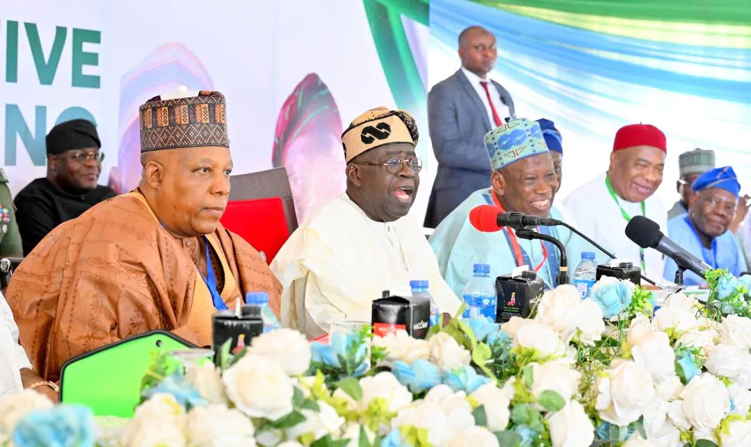 Tinubu Didn't Endorse Mounting Campaign Billboards Presidency