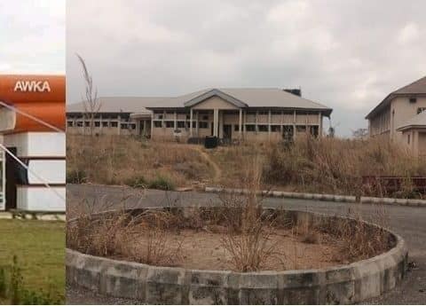 Updates in NigeriaUNIZIK's Neglect Of Ifite-Ogwari Farmland Costs Community N1.1bn