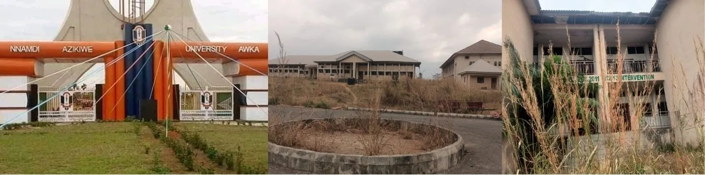 Updates in NigeriaUNIZIK's Neglect Of Ifite-Ogwari Farmland Costs Community N1.1bn