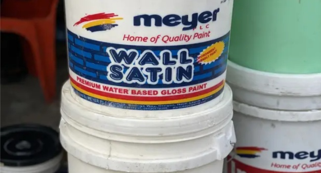 Meyer Spent N678m On Paint Production To Generate N1bn Revenue In Q1
