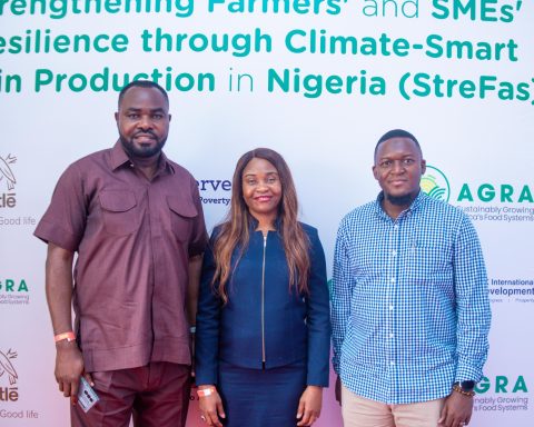 AGRA, Nestle Technoserve Launch Climate-smart agriculture Initiative In Nigeria
