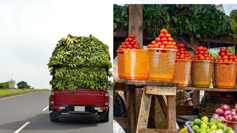 Farm To Shelf: The Logistics Of Getting Healthy Food Into Urban Markets