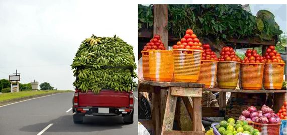 Farm To Shelf: The Logistics Of Getting Healthy Food Into Urban Markets