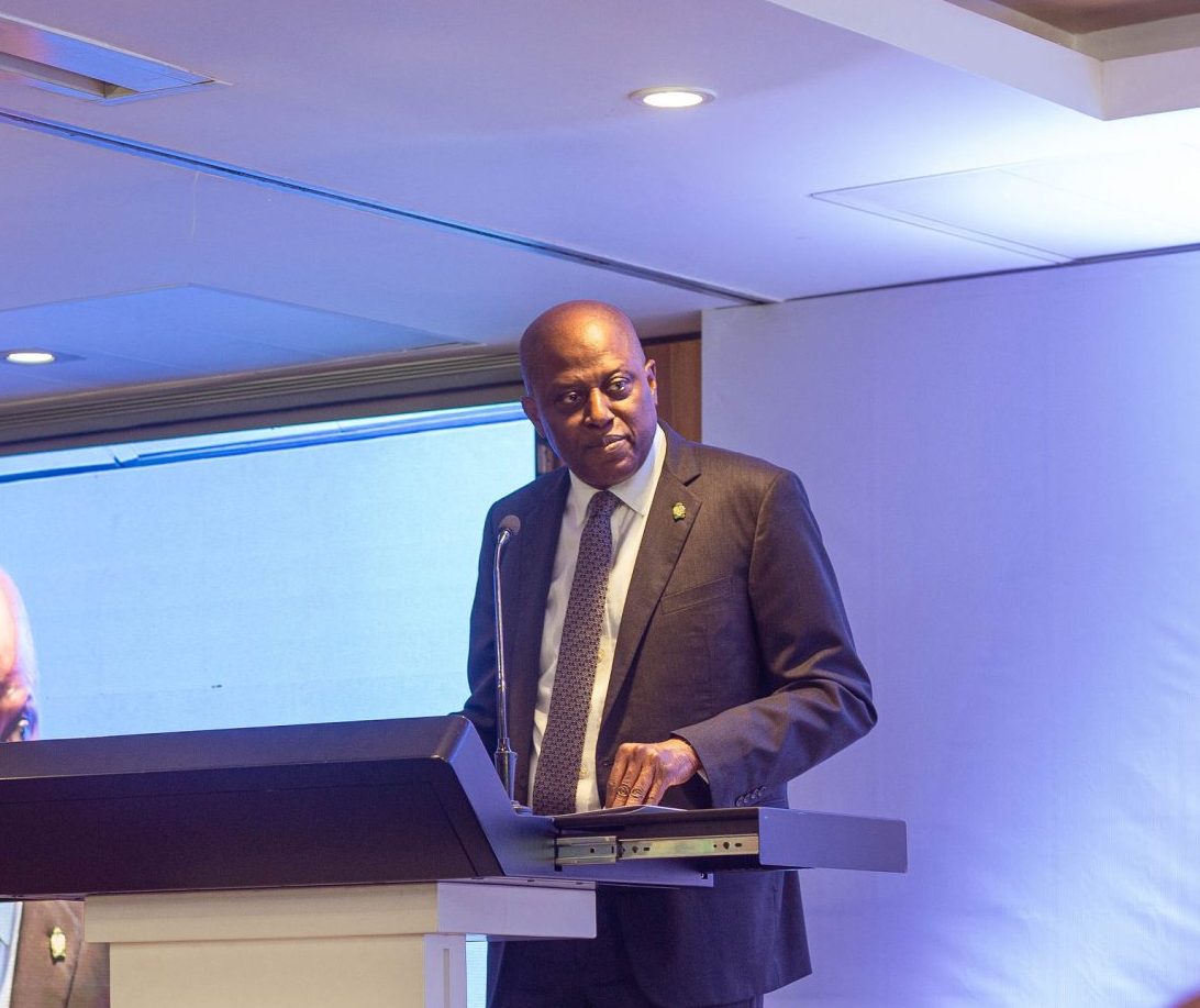 CBN’s NRBVN: A Game-changer In Diaspora Remittances, Financial Inclusion – Cardoso