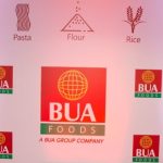 753% Increase In Finance Income Boosts BUA Foods’ Profit Before Tax