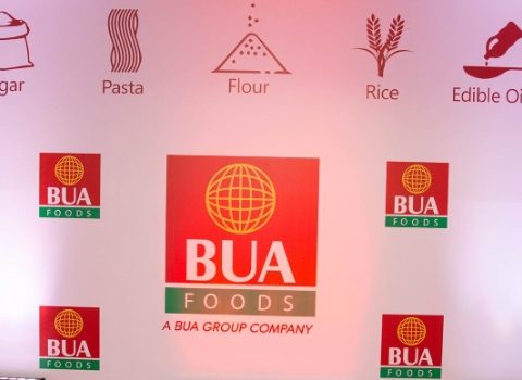 753% Increase In Finance Income Boosts BUA Foods’ Profit Before Tax