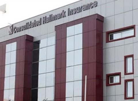 Consolidated Hallmark Generates N13.31bn Turnover, Profit Falls To N359.30m