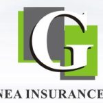 Guinea Insurance Records N106.27bn Loss Despite 12% Increase In Revenue