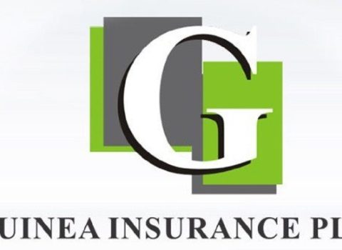 Guinea Insurance Earnings Surge As Expenses Drop 72%, Finance Income Rises 1,490%