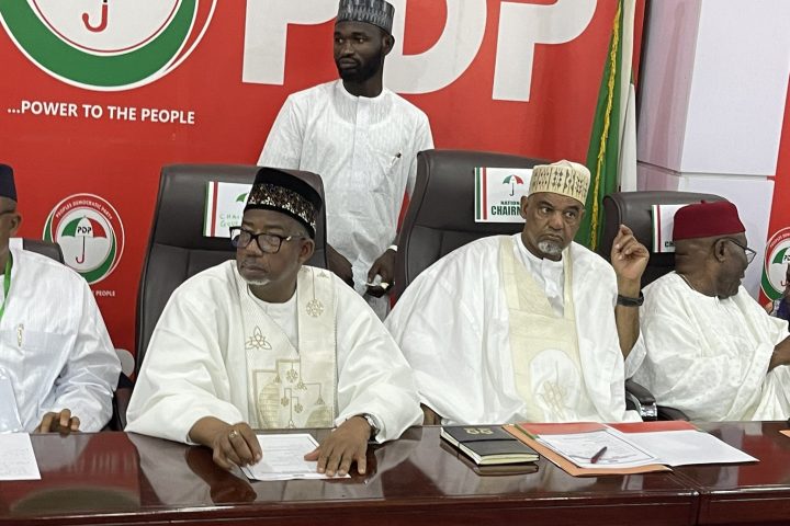 PDP Reinstates Anyanwu As National Secretary  
