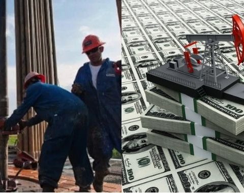 Why NRS Must Be Deeply Involved In NUPRC Audit For Oil, Gas Sector Royalty Collection - Expert
