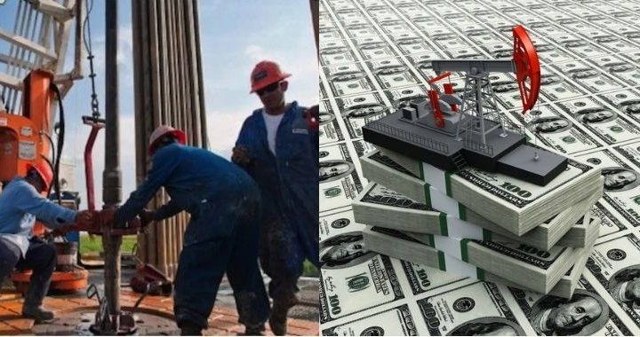 Why NRS Must Be Deeply Involved In NUPRC Audit For Oil, Gas Sector Royalty Collection - Expert