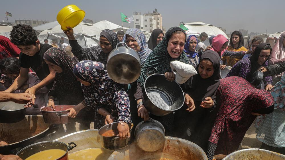 Gaza Civil Defence Spokesman Launches Hunger Strike Amid Worsening starvation