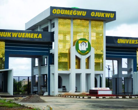 Chukwuemeka Odumegwu Ojukwu University (COOU)