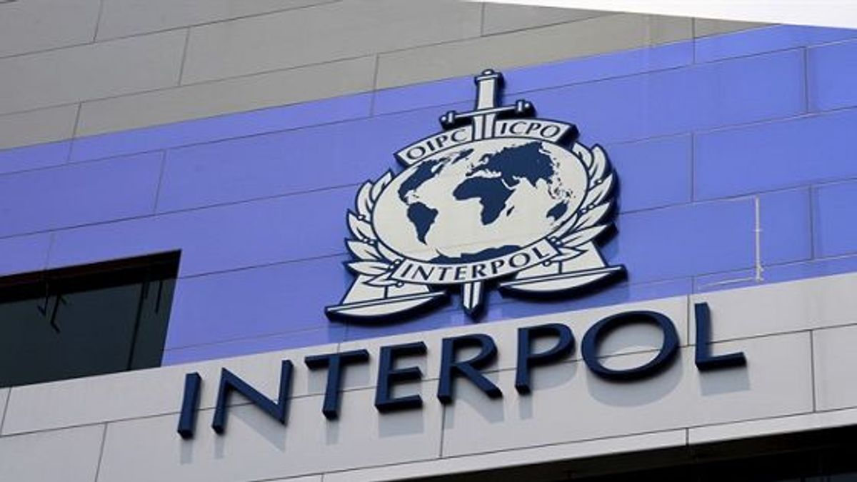 INTERPOL Arrests Over 1,200 Cybercrime Suspects, Recovers $97.4m Across Africa