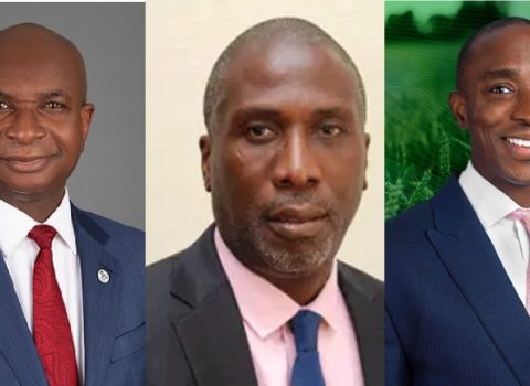 Nigerian Paint Billionaires Have Gained N17.10bn In Eight Months