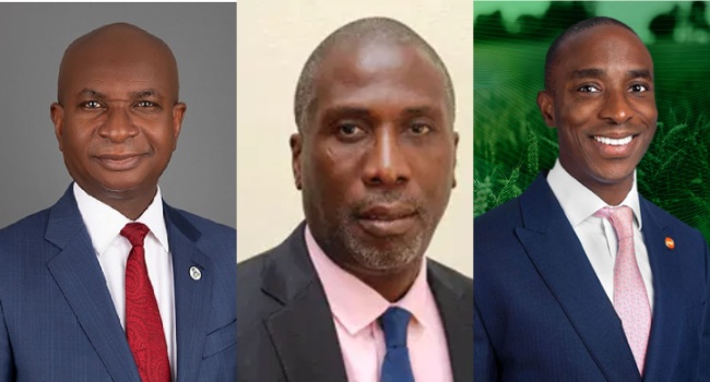 Nigerian Paint Billionaires Have Gained N17.10bn In Eight Months