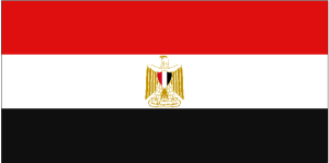 Egypt Revives Push For NATO-Style Arab Joint Military Force Ahead Of Doha Summit