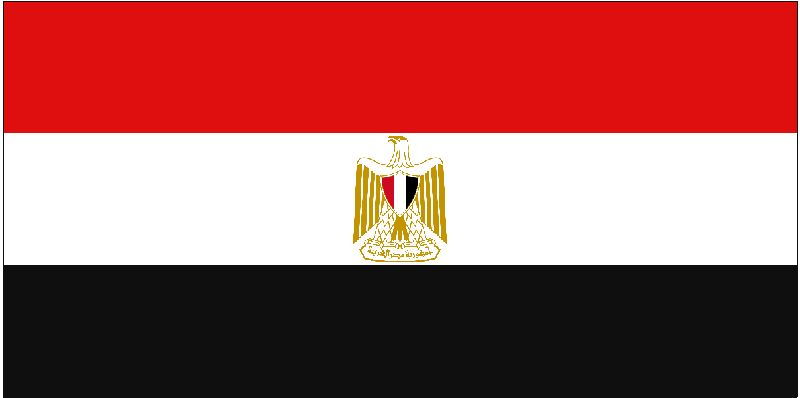 Egypt Revives Push For NATO-Style Arab Joint Military Force Ahead Of Doha Summit