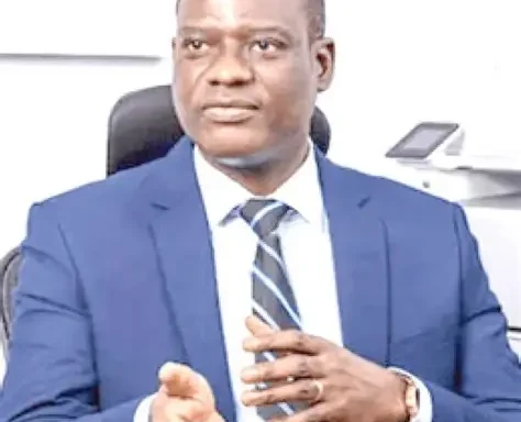 Fuel Subsidy Savings Can’t Meet Nigeria’s Development Needs - Oyedele