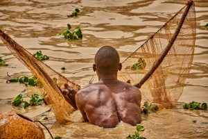 Argungu Fishing Festival