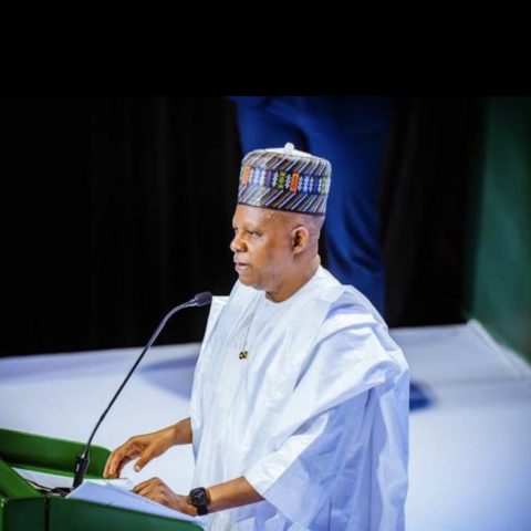 Vice President Shettima