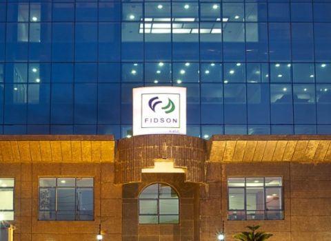 Fidson Grows Revenue By 55%, Profit Reaches N11.90bn