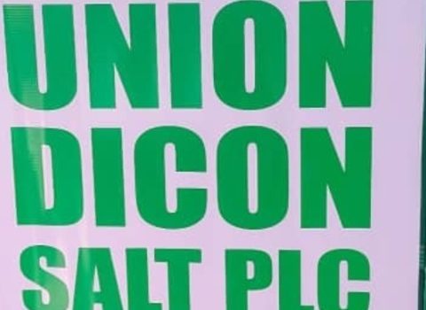Union Dicon Is On Path Of Short-term Liquidity Problems
