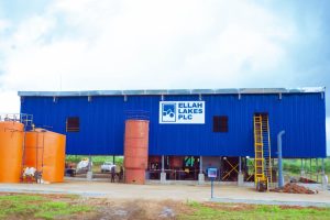 Ellah Lakes Shareholders Stuck With Shares Institutional Investors Don't Want