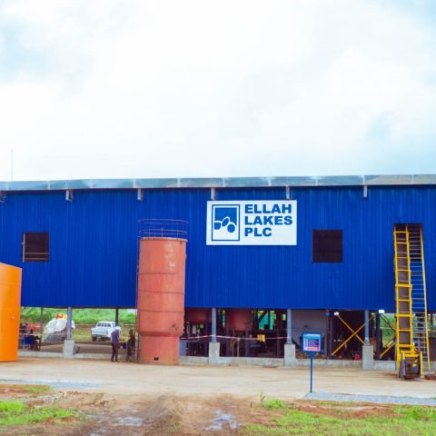 Ellah Lakes Failing Where Presco, Okomu Oil Succeeded