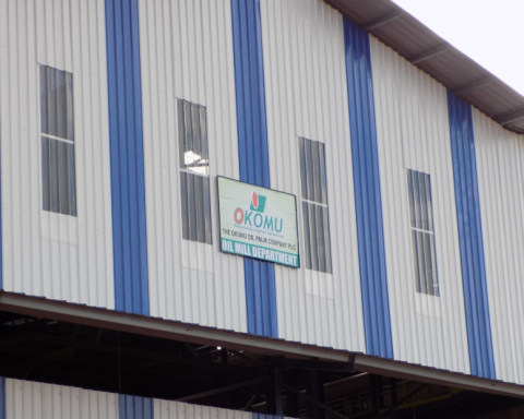 How High Demand For Okomu Oil Shares Turned Majority Investor Into Trillionaire