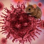 Hantavirus