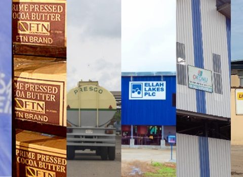 Agribusiness With Highest Market Valuation: Presco Leads, Zichis Overtakes FTN Cocoa
