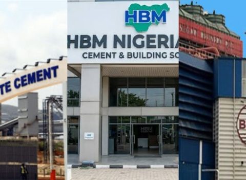 Industry Review: Dangote Cement Losing Market Share To BUA Cement, HBM Nigeria